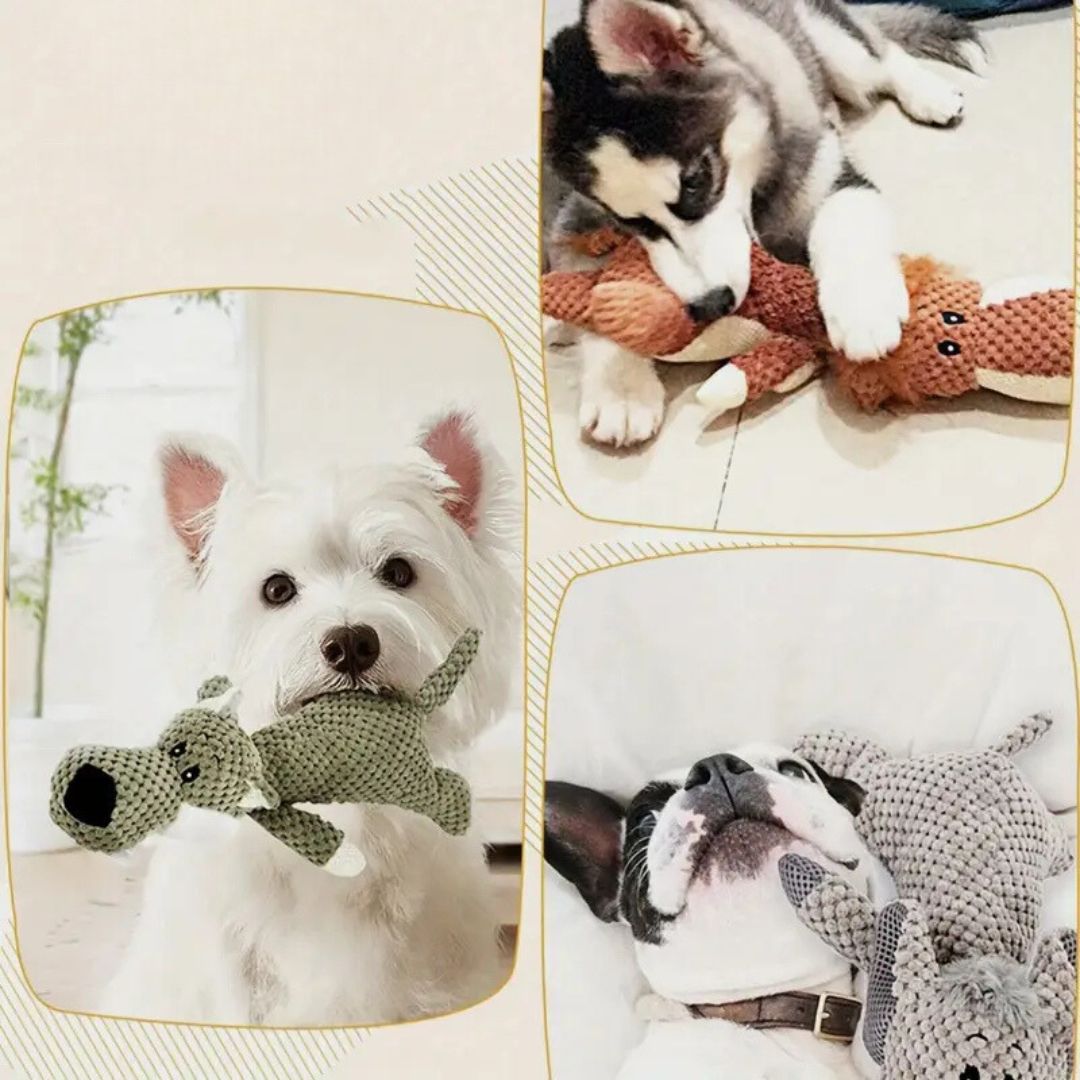 Durable Dog Toy