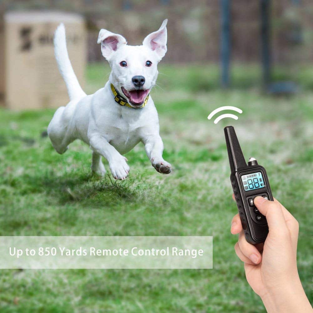 Electric dog training collar 800M Range