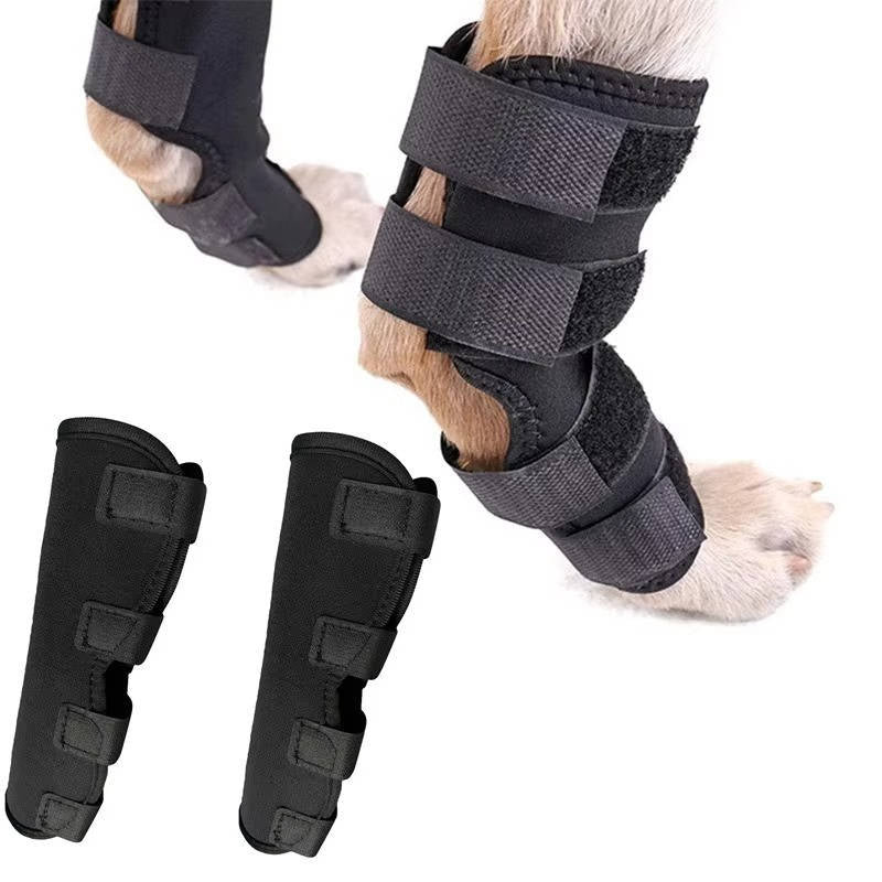 Orthopedic Braces For Dogs