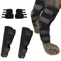 Orthopedic Braces For Dogs