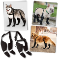 Waterproof Dog Suspenders Boots