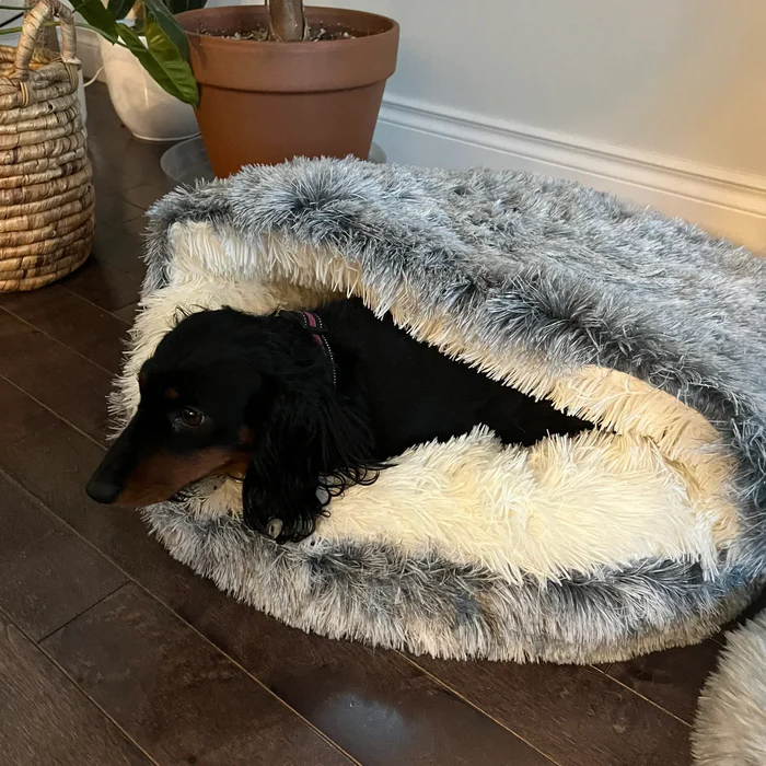 Cozy Pet Bed for Dogs and Cats - SnuggleCave - Plush Comfort - Multiple Sizes & Colors